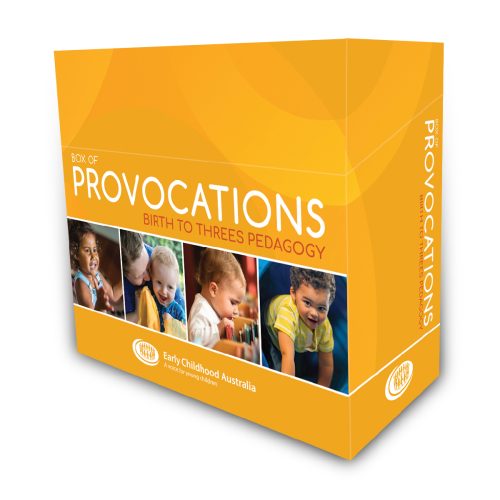 Box of provocations: Birth to Three pedagogy box